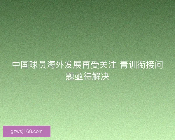 中国球员海外发展再受关注 青训衔接问题亟待解决